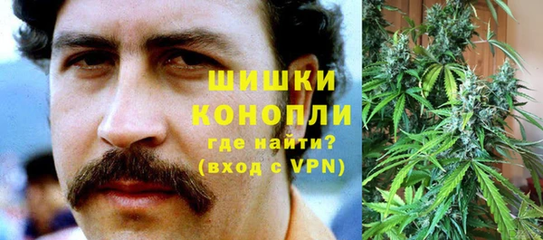 ALPHA PVP Снежинск
