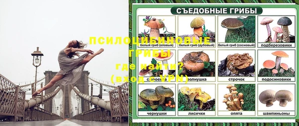 ALPHA PVP Снежинск