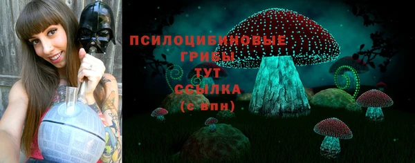 ALPHA PVP Снежинск